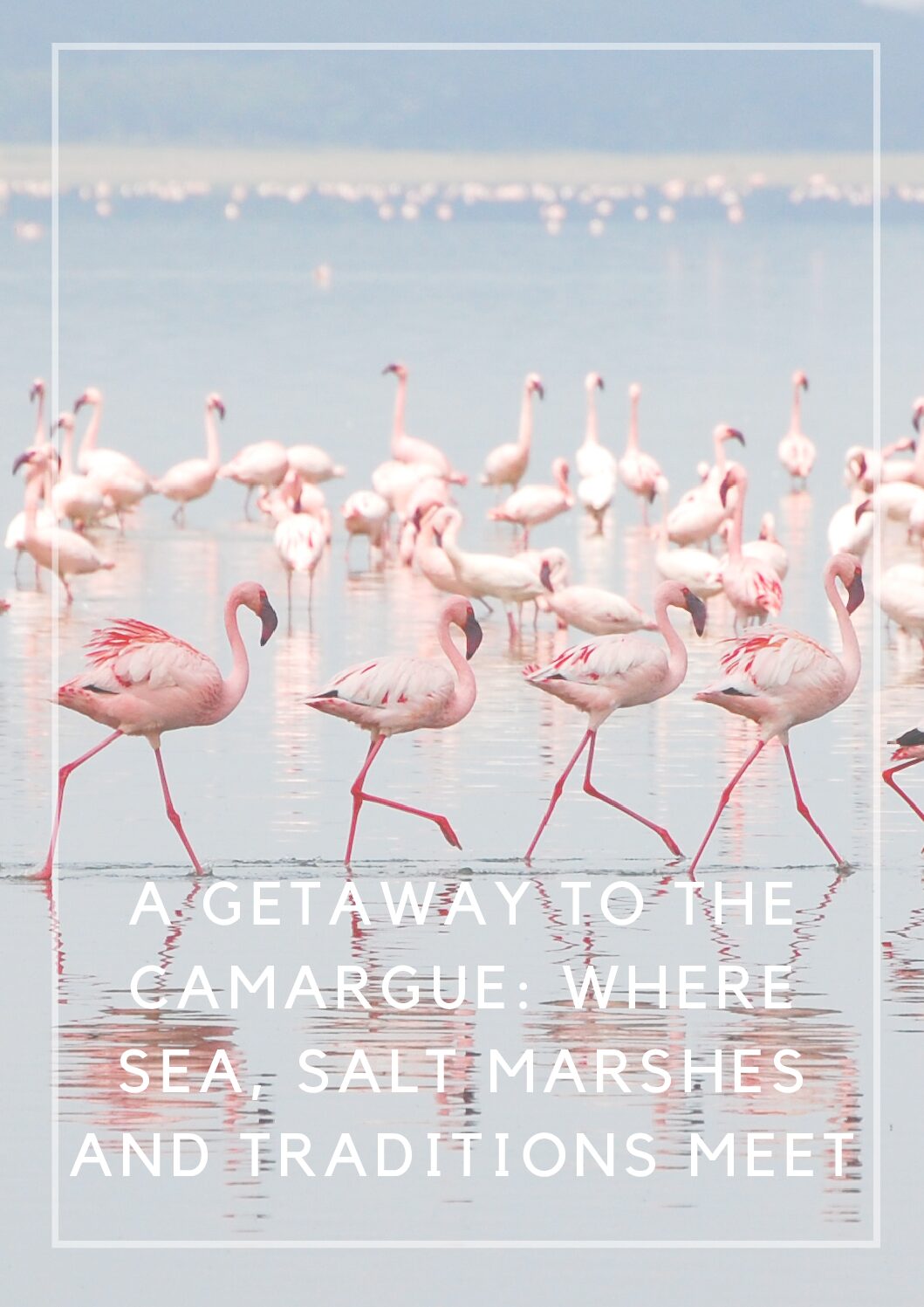A-getaway-to-the-Camargue-1-pdf